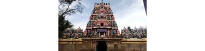 திருவிற்குடி - சாலந்தர்அரி திருமந்திரம்
